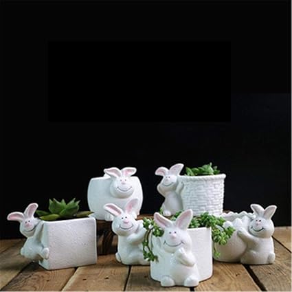 Sdgs 6pcs Dessin Animé Créatif Lapin Mignon Plante Charnue