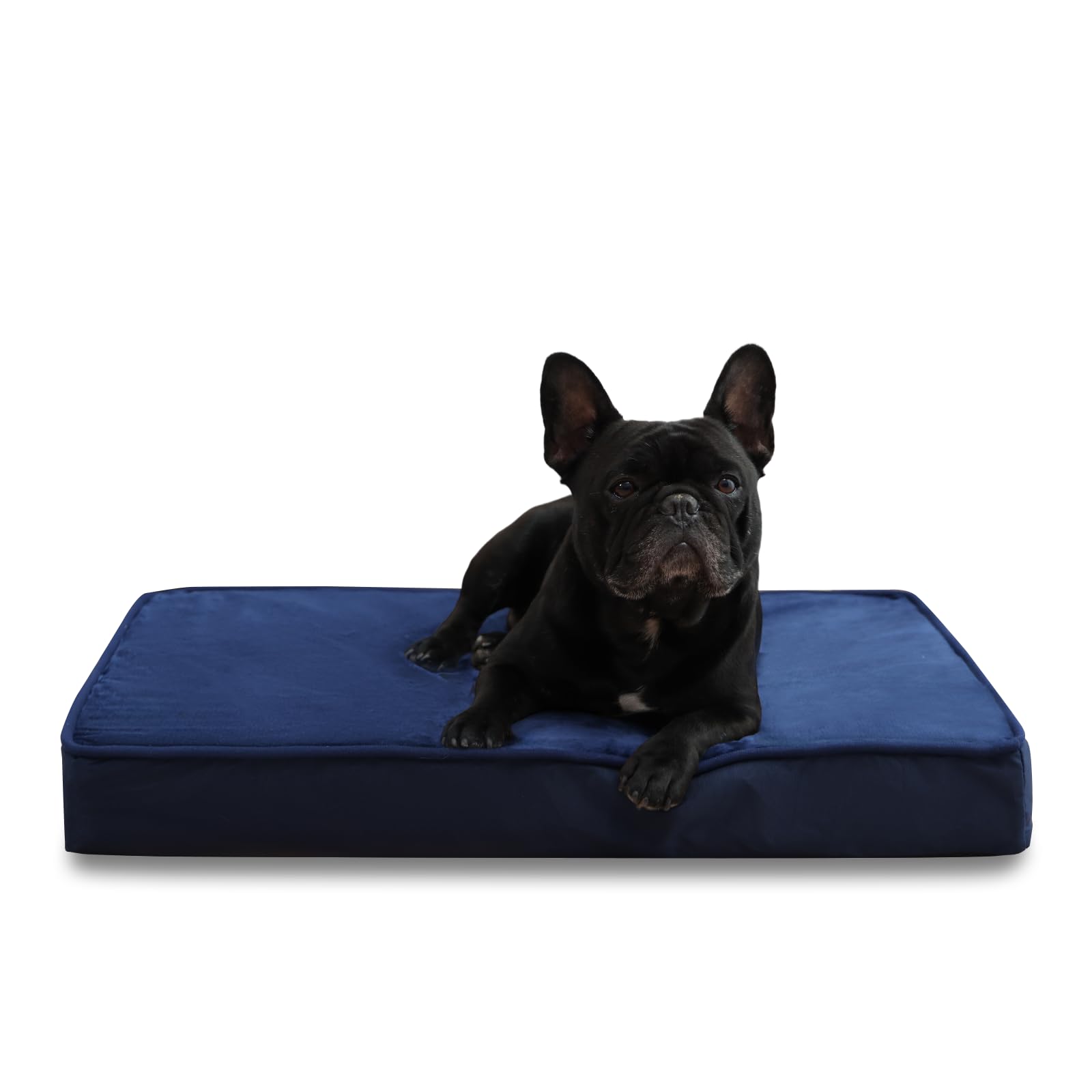 Jaspuriea Medium Dog Bed, Washable with Waterproof Removable Cover, Orthopedic with Anti-Slip Bottom, Deluxe Flannel Comfy Dog Crate Mattress, Blue, 75x50x9cm