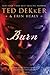 Burn by Ted Dekker, Erin Healy