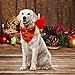 Christmas Dog Bandana 4 Pack Pet Doggy Triangle Scarf Bibs Kerchief Accessories with Christmas Element Patterns for Dogs and Cats