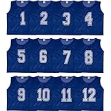 Athllete Set of 12- Scrimmage Vest/Pinnies/Team Practice Jerseys with Free Carry Bag. Sizes for Children, Youth, Adult and Adult XXL (Azure Blue Numbered, Small)