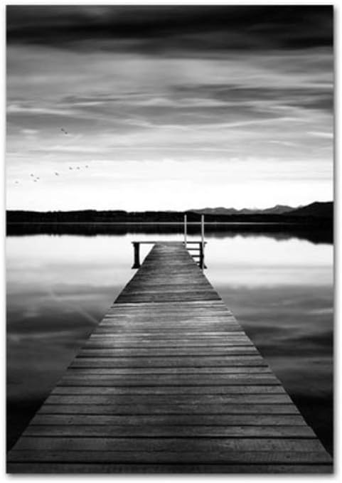 photo Black And White Scenery Pictures black white nature scenery poster