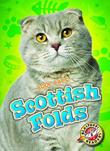 Scottish Folds (Cool Cats)