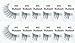 #45, 12 Pairs ifullash 100% Human Hair Eyelashes