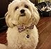 Tok Tok Designs® Formal Bow Ties for Small Dogs (BK133, 100% Cotton)