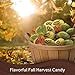 Dove Promises Variety Mix Harvest Halloween Chocolate Candy Pumpkins 24 Oz Bag