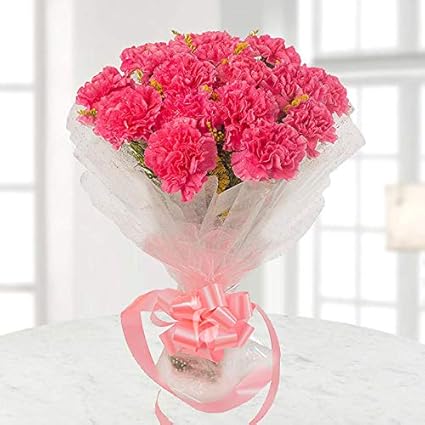 floweraura fresh flowers Bouquet of 15 Pink carnations wrapped in white paper