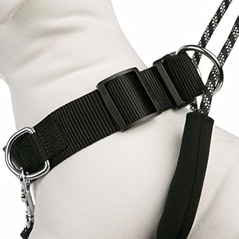 amazon kong harness