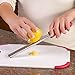 Premium Fruit Cheese Zester Grater With Sharp Stainless Steel Blade and Protective Cover