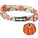 Blueberry Pet Fall Dog Collar, Small Dog Collar for Female & Male Dogs, Extra Small Dog Collar with Pumpkin Décor, Adjustable for Neck 12