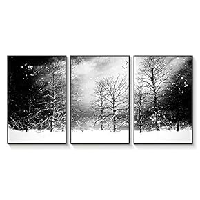 Floating Framed Canvas Wall Art for Living Room, Bedroom Black and White Landscape Canvas Prints for Home Decoration Ready to Hang - 16"x24"x3 Panels