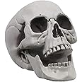HAPPYSUN Life Size Skeleton Skull Model Human Skull Replica Model Skull Head Decoration Prop for Bar Party Home Halloween Decor, Gray