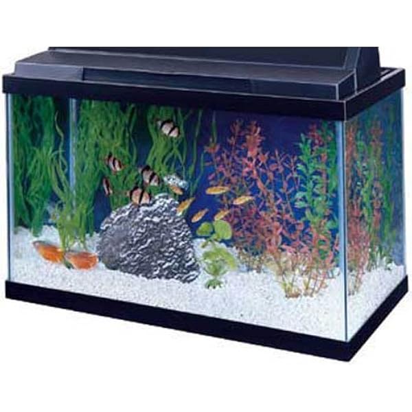 15 gallon aquarium stand