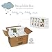 Naty by Nature Babycare Eco-Friendly Premium Disposable Diapers for Sensitive Skin, Size 5, 4 packs of 23 (92 Count) (Chemical, chlorine, perfume free)