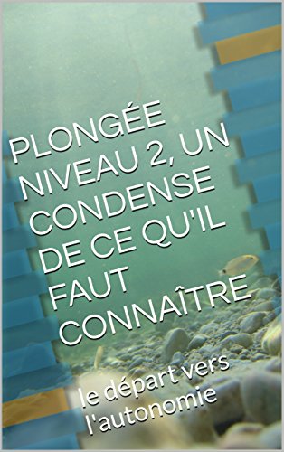 PLONGÉE NIVEAU 2, UN CONDENSE DE CE QU'IL FAUT CONNAÎTRE: le départ vers l'autonomie (French Edition) by René Castex