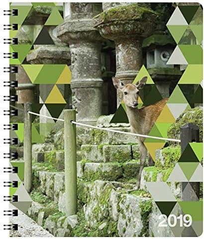 Action I, Us, All Annual Day Planner (2019 Annual)