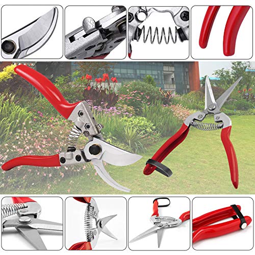 HyleJhJy 8" Bypass Pruning Shears with Stainless SK5 Steel Blades + Straight Tip Pruning Shears Herb Pruning Shears Florist Scissors- Hand Pruner Scissors for Garden Harvesting Fruits Vegetables,Red - Thumbnail 6