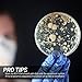 Petri Dishes (92.5mm x 15mm) EO Sterile, Vented, Made with Professional Grade Polystyrene - 2 Sets x 10 (20 Count) by Mile High Online
