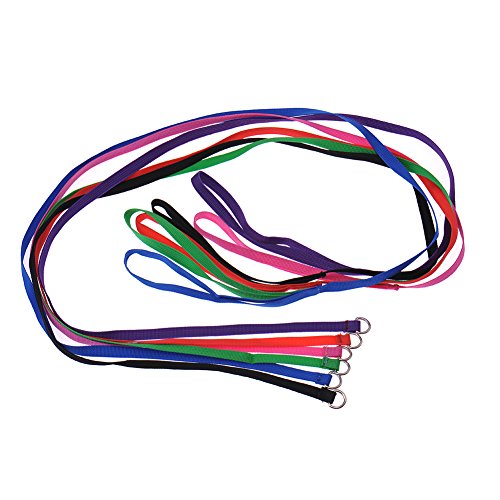 thumbnail image 2 of 12 Pack 6-Foot Slip Leads For Dogs - Nylon Kennel Leads With O Ring For Grooming, Vets, Shelters, Daycare (Assorted Colors) 2 of 9