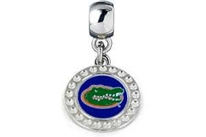 HEAVENS JEWELRY CHARM UNIVERSITY OF FLORIDA GATORS CHARM 3/4" ACROSS SLIDER PENDANT FOR YOUR NECKLACE EUROPEAN CHARM BRACELET (Fits Most Name Brands) JEWELRY DIY PROJECTS ETC