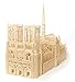 Bojeux Matchitecture - The Notre Dame de Paris Cathedral