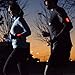 EverLightFX USB Rechargeable LED Safety Light (2 Pack) by Apace - Super Bright Bike Tail Light Works Brilliantly as Running Light for Joggers, Pets, Bicycle Strobe or Rear Clip On Lights