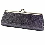 Luxury Divas Glitter Twist Lock Small Clutch Handbag