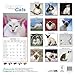 Siamese Cats Calendar - 2015 Wall calendars - Animal Calendar - Monthly Wall Calendar by Avonside Studio