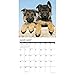 Just German Shepherd Puppies 2019 Wall Calendar (Dog Breed Calendar)