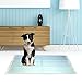Puppy Pads 100 Count - Disposable & Absorbent - Extra Heavy Duty Dog Pee Pads - with Pet Attractant - No More Leaks - Training Supplies