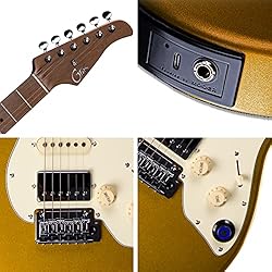 GTRS S801 Electric Guitar Maple Fretboard
