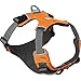 RUFFWEAR - Front Range, Everyday No Pull Dog Harness with Front Clip, Trail Running, Walking, Hiking, All-Day Wear, Campfire Orange, Large/X-Large