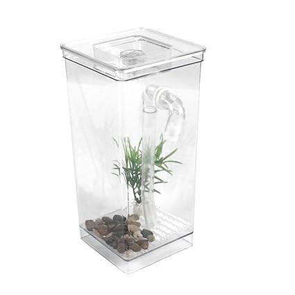 Adeeing Household Mini Electric Fish Tank Set With Automatic Water