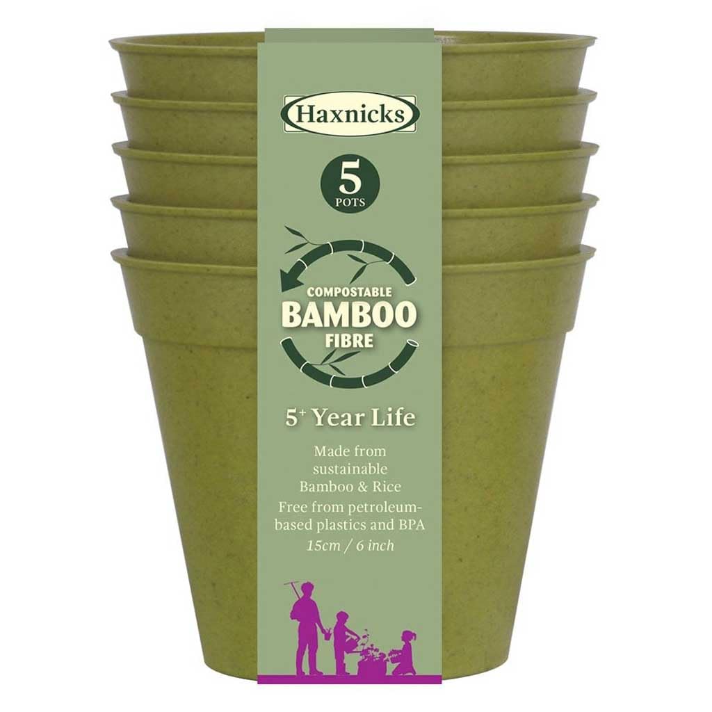Haxnicks Sustainable Bamboo Fibre Plant Pot in Sage Green, 6 Inch Diameter, 1.2 Litre Capacity, Pack of 5, Biodegradable & Home Compostable, POT130101
