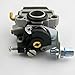 Hipa Repalce Carburetor Carb for Four-Stroke Honda GX31 GX22 FG100 Engine Little Wonder Mantis Tiller # 16100-ZM5-803