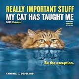 Really Important Stuff My Cat Has Taught Me Wall Calendar 2019 by 