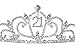 Birthday Party Rhinestone Crystal Tiara Crown - 21st 21th Twenty one T1192