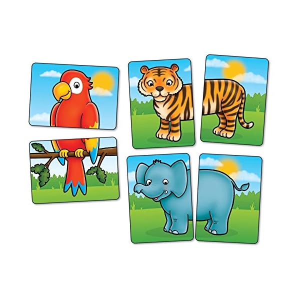 Orchard Toys Jungle Heads and Tails Game, Educational Game, 2 in 1 Activity, Educational Memory Game, Age 18 months…