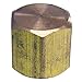 LASCO 17-9143 1/8-Inch Female Pipe Thread Brass Cap primary