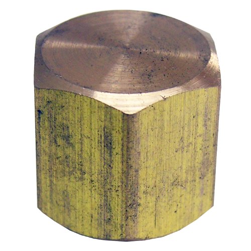 LASCO 17-9143 1/8-Inch Female Pipe Thread Brass Cap