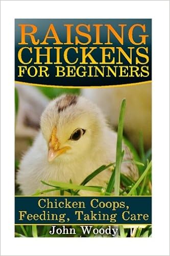 Raising Chickens For Beginners Chicken Coops Feeding Taking