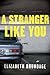 A Stranger Like You: A Novel