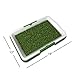 Artificial Grass Pee Pad Set for Dogs (Synthetic Plastic Grass) - Reusable Puppy Essential for Potty Training Small Pets Indoors and Outdoors by PETMAKER (Green)