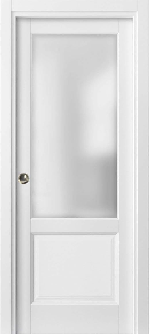 Panel Lite Pocket Door 24 X 80 With Frames Lucia 22 Matte White