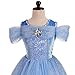 Dressy Daisy Girls' Princess Dress Costume Christmas Halloween Fancy Dresses Up Butterfly Size 4T Blue