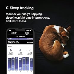 Fi Series 3 Smart Dog Collar - GPS Dog Tracker and
