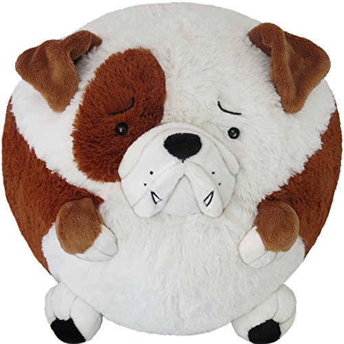 english bulldog squishmallow