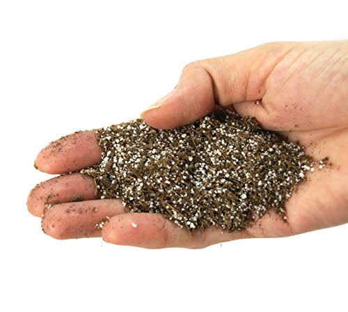 Sprig & Stone Josh's Frogs Carnivorous Plant Soil (1 qrt) - Venus Fly Traps/Pitchers/Sundews - //coolthings.us