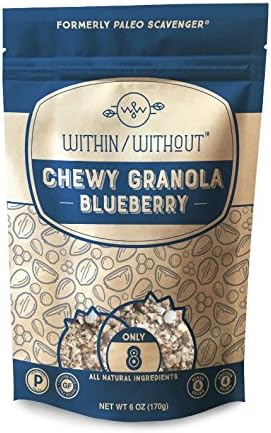 Within / Without Blueberry Grain Free Chewy Granola, Keto Friendly, Gluten Free Low Carb Snack