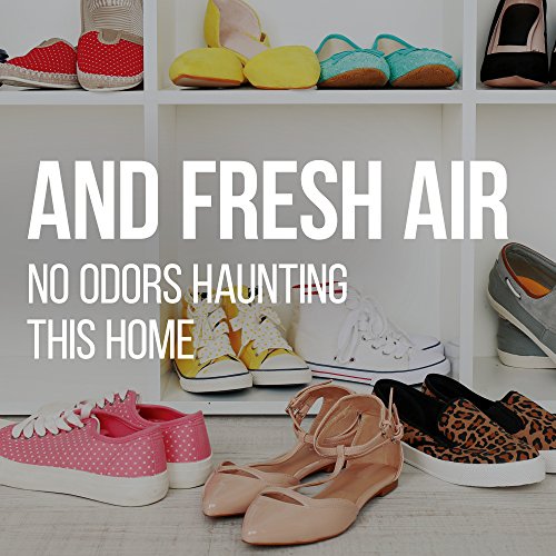 PEET, The Original 2Shoe and Boot Dryer with Sanitizer and Deodorizer